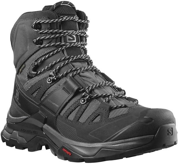 Salomon Men's Quest 4